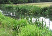 River Wey improvements to be discussed in Alresford and Alton next week