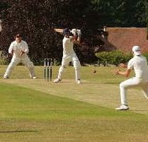 Liphook no match for Grayswood