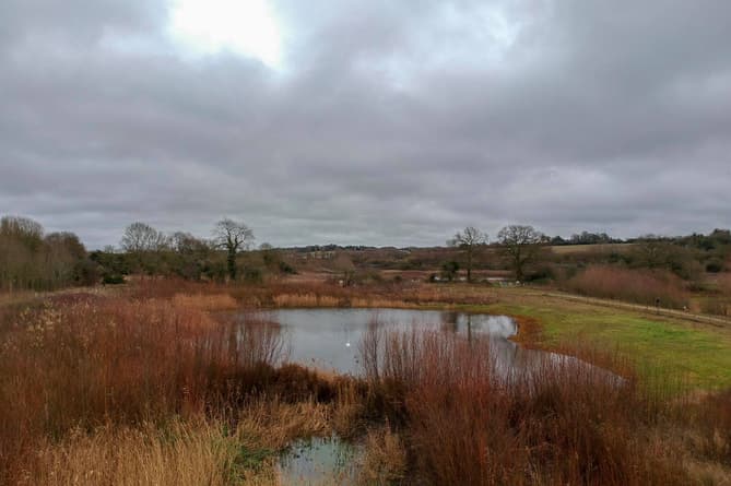 Threat averted – now we must protect Tice’s Meadow forever