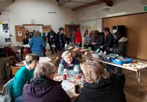 Alton Local Food Initiative holds seed swap