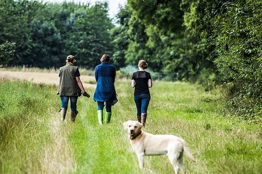 Rural walking