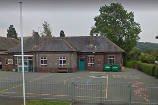 Dolau Primary