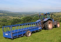 Non-intensive ‘Welsh Way’ of farming could offer climate and food solutions