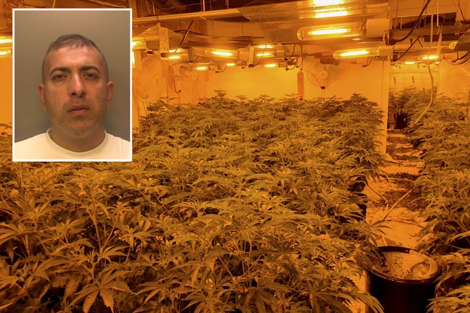 Cannabis factory in Aldershot. See SWNS story SWNNcannabis. A serious organised crime leader, who earned millions by running 12 cannabis factories across the South, has been jailed today. Mustafa Oustha, 39 of Harewood Drive, Northolt, appeared at Guildford Crown Court today (3 March), where he was sentenced to six years eight months in prison after pleading guilty to conspiracy to produce cannabis and concealing criminal property. Prior to the sentence, the Judge commented that it was âdifficult to envisage a more serious case of production of cannabis.â The sentence follows a large-scale investigation into the rental of 12 industrial units across the South East of England which had been turned into cannabis factories between 2016 and 2021