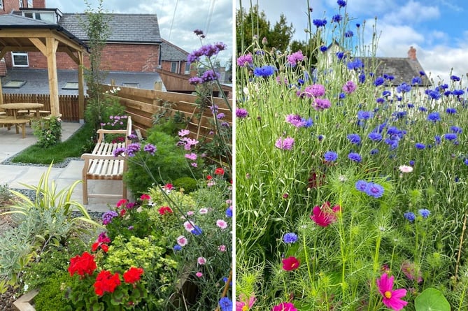 Left is Talgarth’s Shade Garden and right is cornflowers in the Riverside Garden