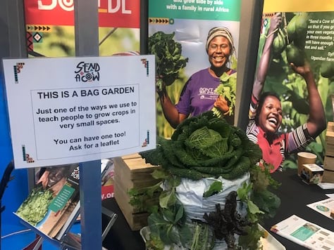Send a Cow’s mini garden was promoting a fundraiser for African gardens.