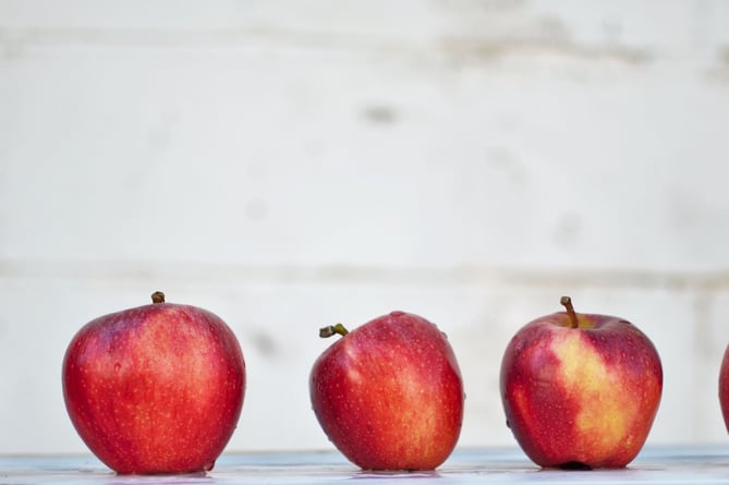 Stock photo of apples