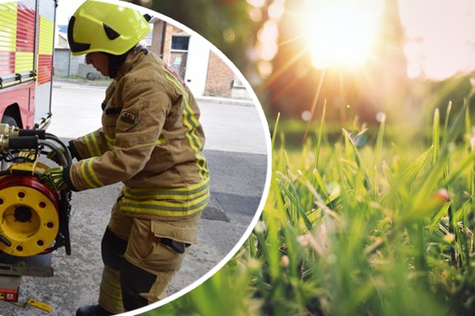 A firefighter and spring grass