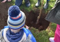 Tintagel primary eager to care for new fruit trees