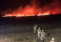 Arson is suspected over a blaze which tore through a nature reserve near Bodmin