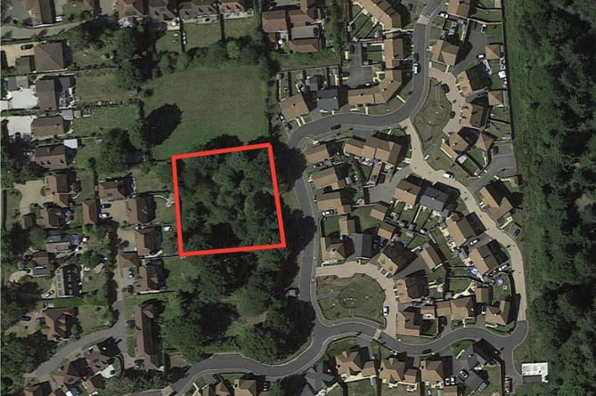 The site in Watercress Way, Medstead, has been described as ‘only vestige of greenery left’ in the area