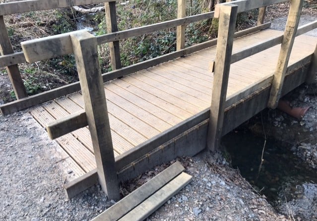 Damage in the Deadwater Valley Local Nature Reserve caused by the chainsaw vandals