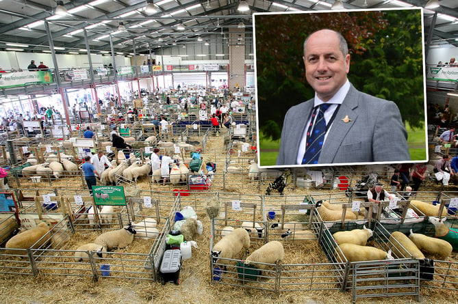 The sheep at The Royal Welsh Show in one of the years before the pandemic - inset is a photo, from the Royal Welsh Agricultural Society’s website, of Steve Hughson who will be retiring in September