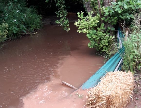 River pollution