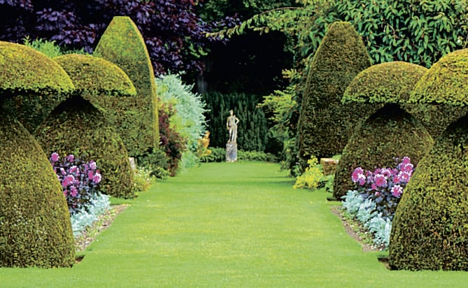 Hinton Ampner avenue of hedges.
