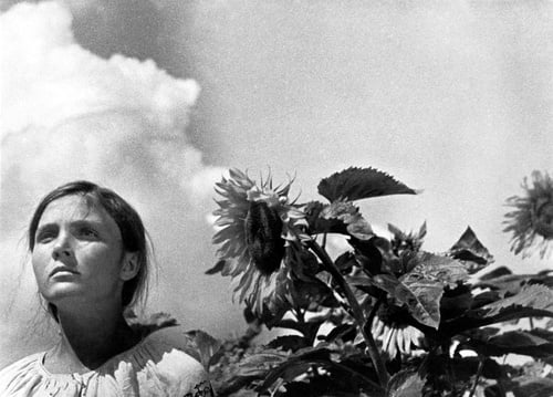 An image from the film ‘Earth’. Submitted