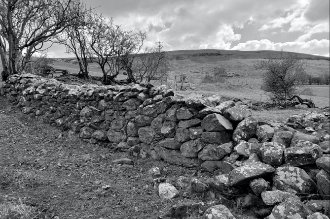 This is our picture of the week that was sent in by Zoe Mathias. The theme was Black and White photographs.