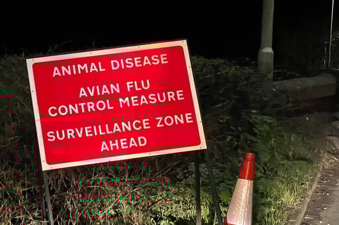 One of the warning signs on the A377 near Newton St Cyres. AQ 5807