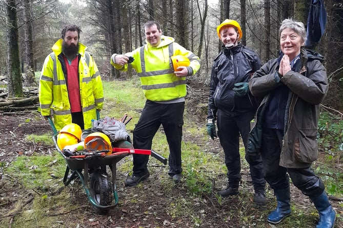 Tir Coed staff and trainees at work in the woods