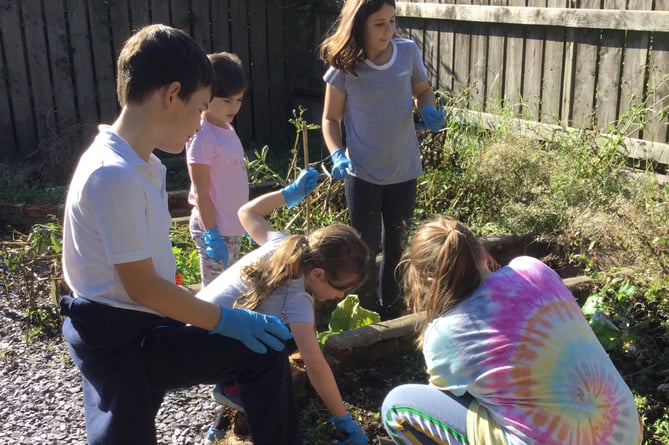 Children gardening