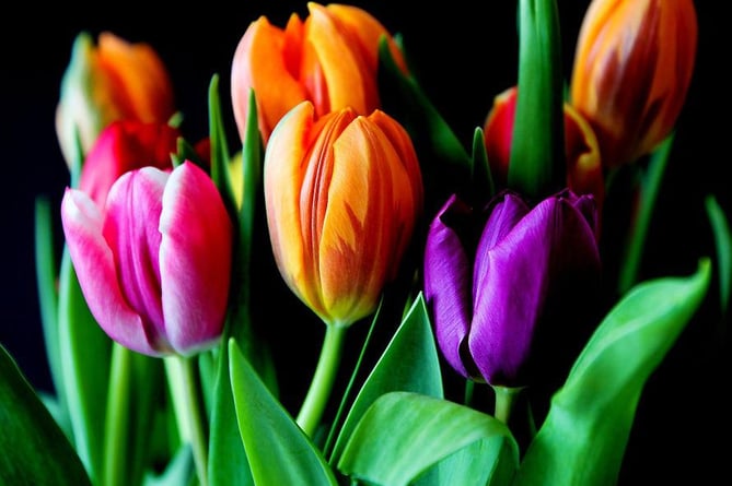 Flowers