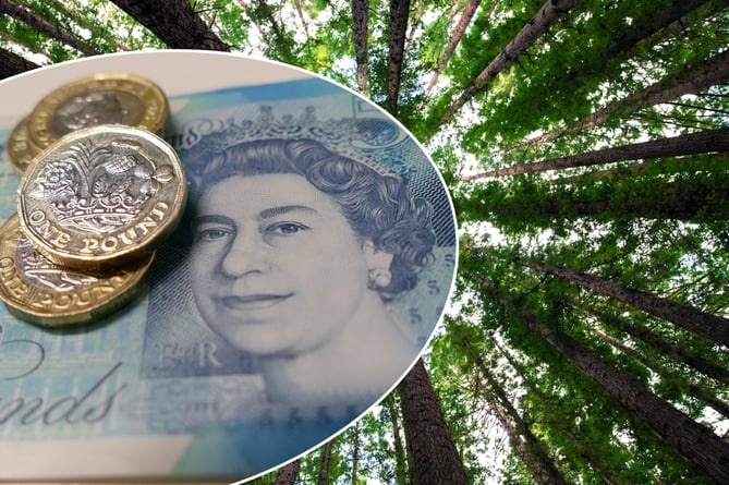Cash inset over trees