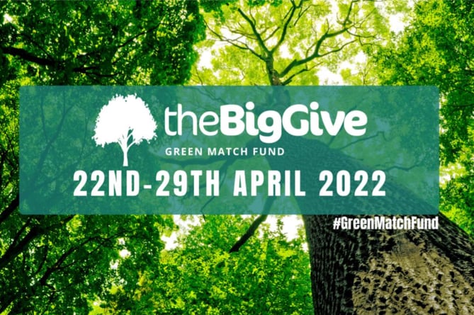 Green Match Fund 2022