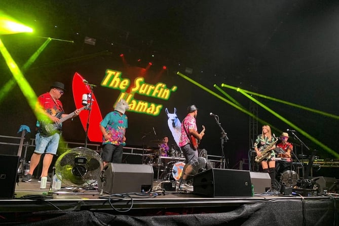 The Surfin Llamas