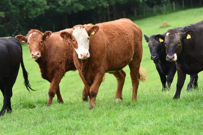 Farming