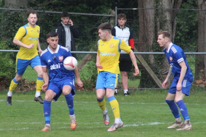 Monmouth Kingfishers