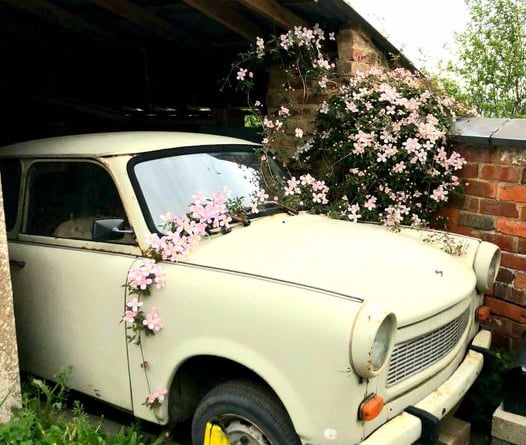 Car Flowers