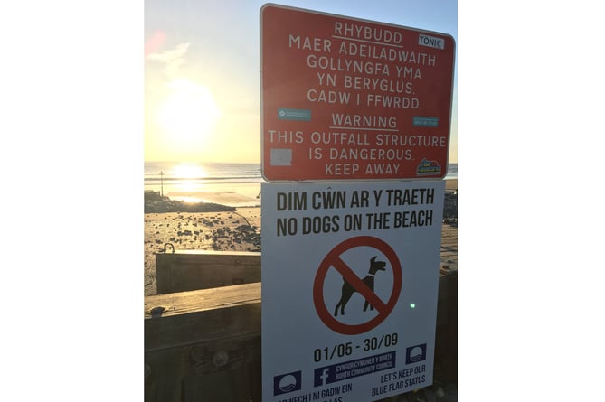 Borth Beach