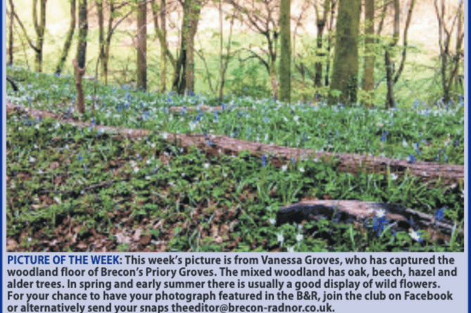 Priory Groves, Brecon (PT)