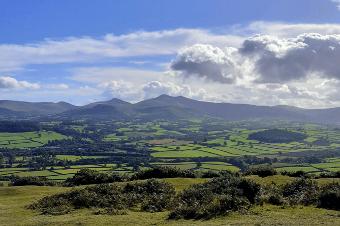 Looking towards the Beacons from the Crug, Brecon. (PT)