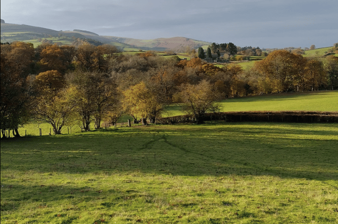 Looking towards Epynt ... (PT)
