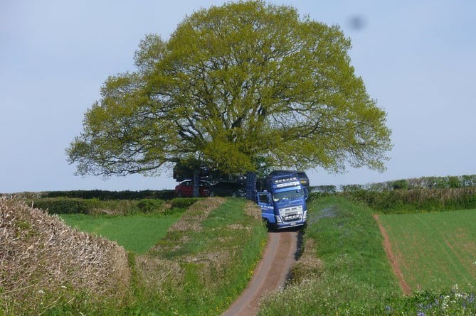 Lorry stuck on narrow lane near Wellington