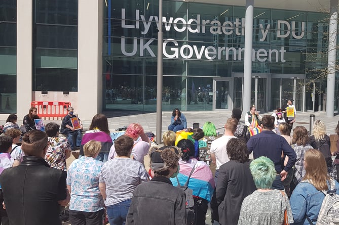The protesters in Cardiff