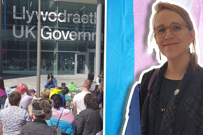Ivy inset over a trans flag and the protest