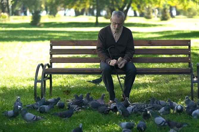 A lonely elderly man feeding pigeons from a park bench