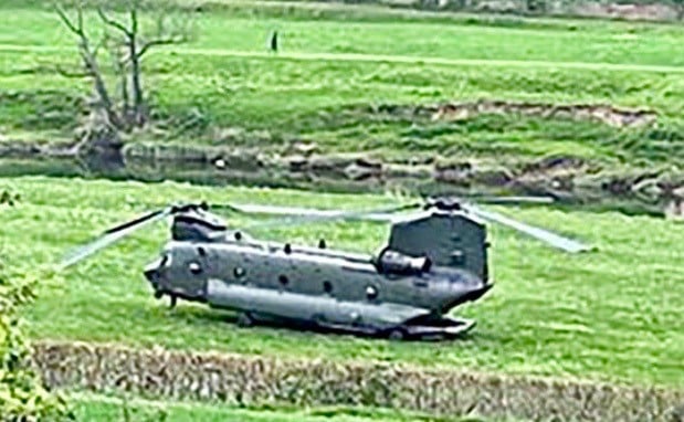 Chinook by Carolyn Thomas
