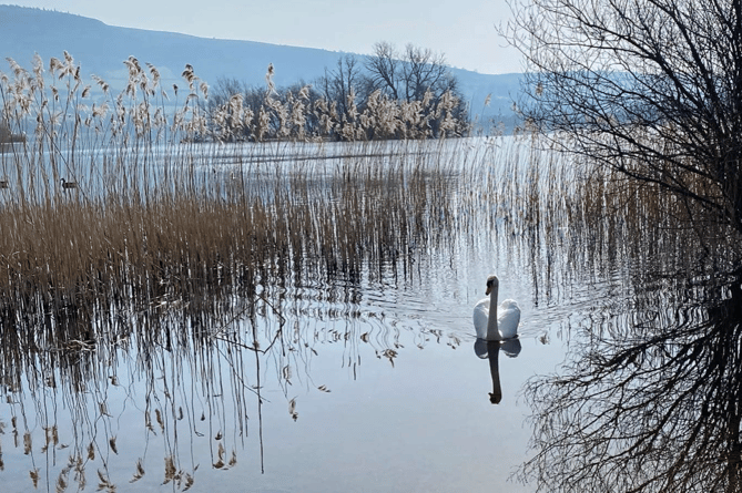 Llangorse lake