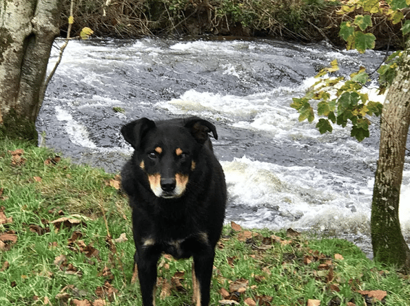 River Honddu