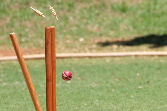 Cricket stock photo.