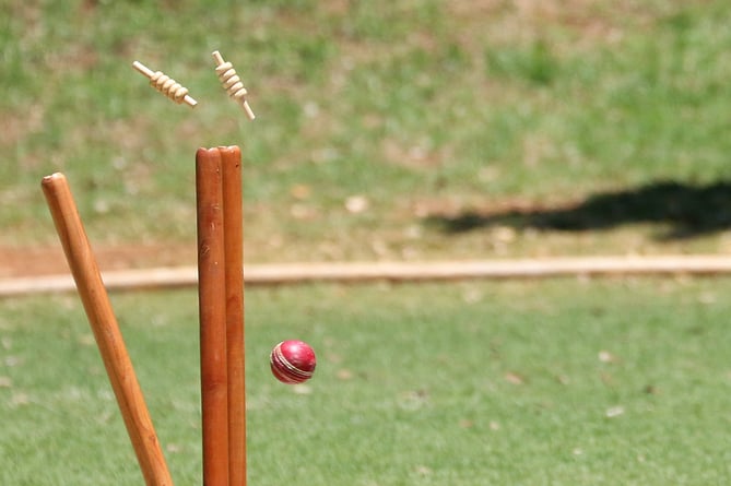 Cricket stock photo.