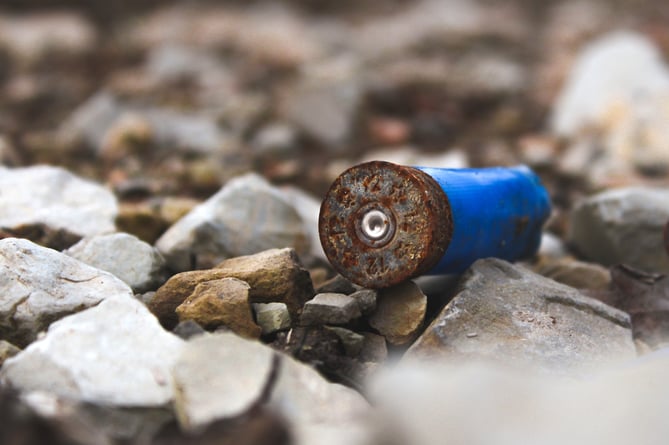Photo by James Kovin on Unsplash