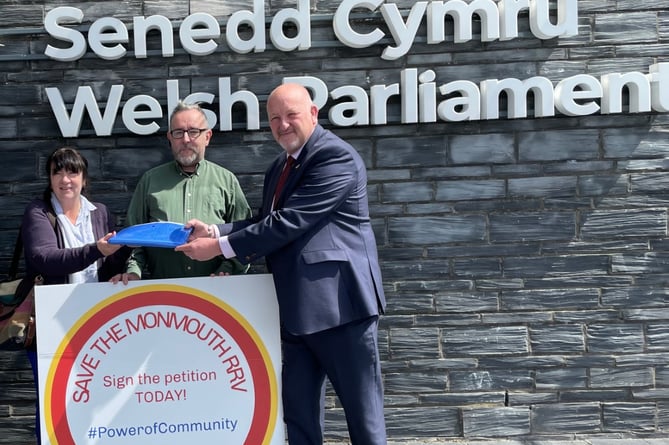 Senedd petition