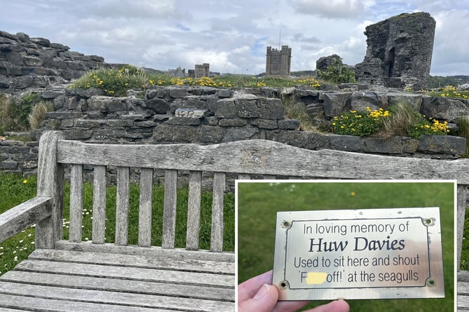 Bench Huw Davies