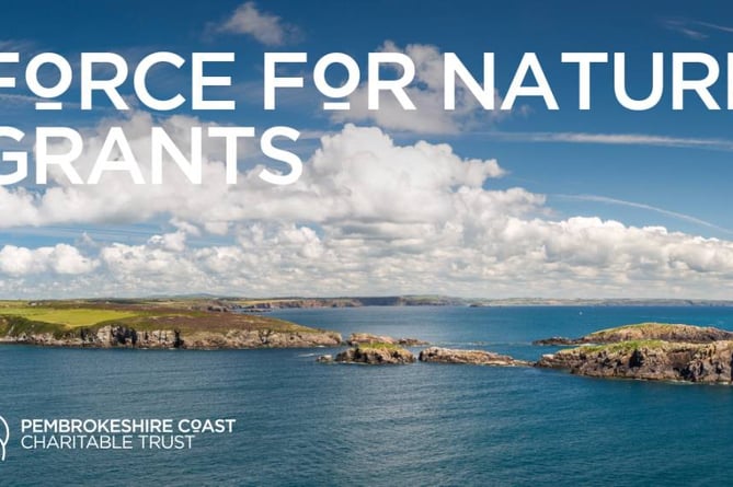 Force For Nature poster