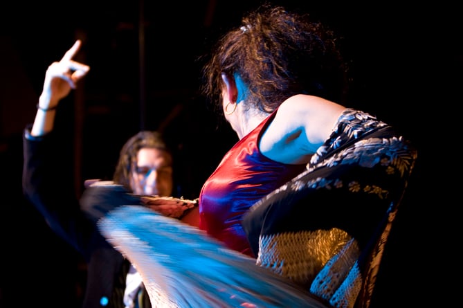 Mi Flamenco.