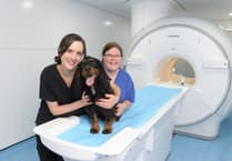 Animal hospital makes a £1.2m scanner investment